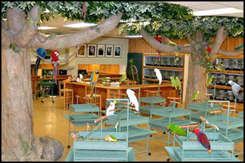 Store View_4