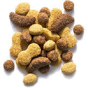 ZuPrem NutBlend Parrot-Conure Product Image | Parrotco.com ZuPrem NutBlend Parrot-Conure, Product Image