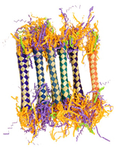 sparklers parrot foor toy 