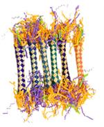 sparklers parrot foor toy 